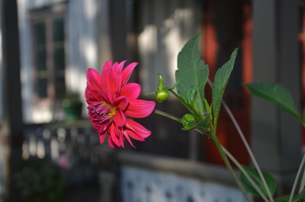 Naestegarden Bed & Breakfast Sätuna Εξωτερικό φωτογραφία
