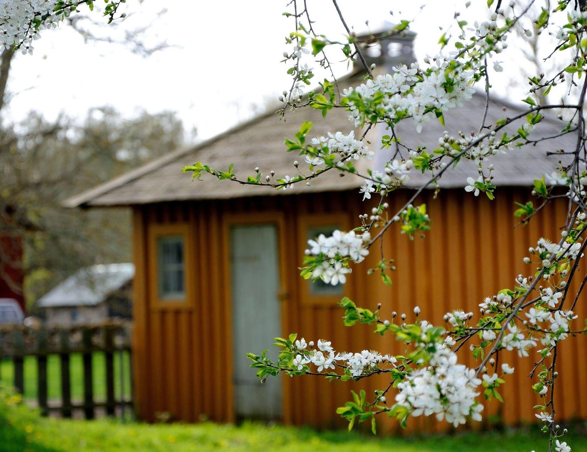 Naestegarden Bed & Breakfast Sätuna Εξωτερικό φωτογραφία